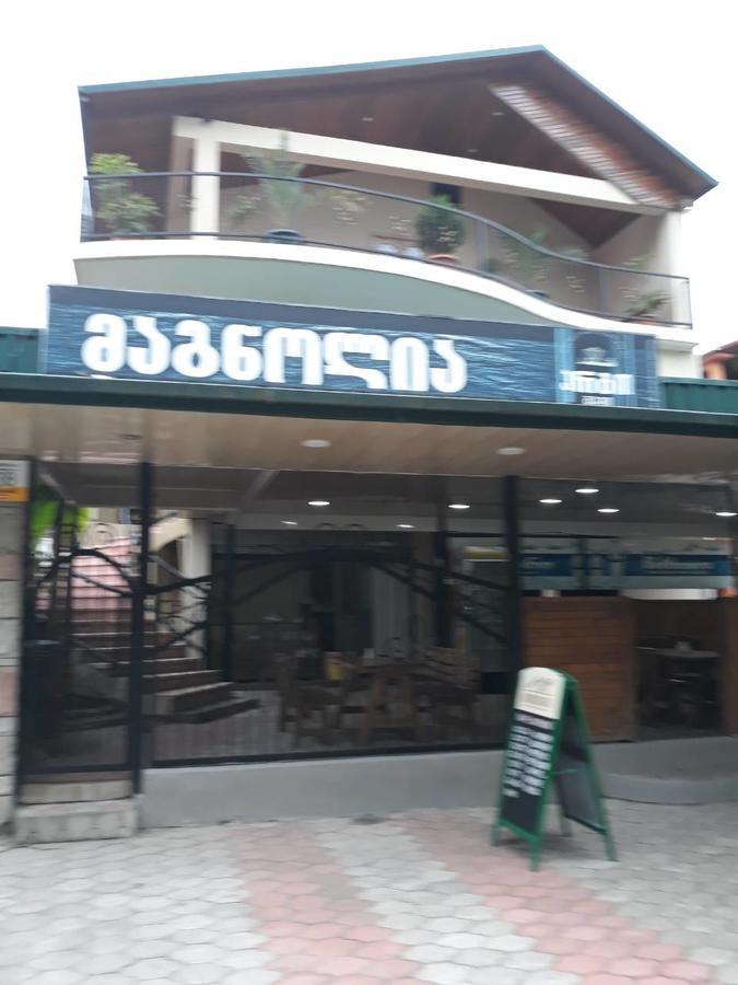 Magnolia Hotel Agmashenebeli コブレチ エクステリア 写真