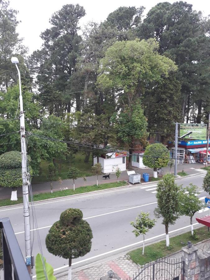 Magnolia Hotel Agmashenebeli コブレチ エクステリア 写真